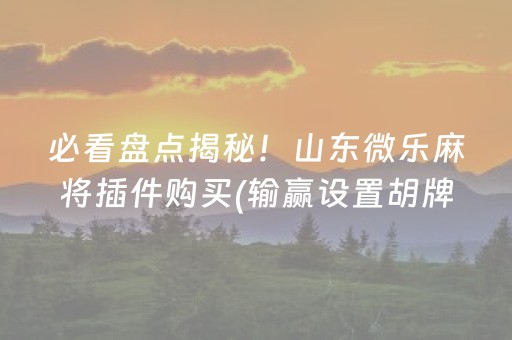 必看盘点揭秘！山东微乐麻将插件购买(输赢设置胡牌规律)