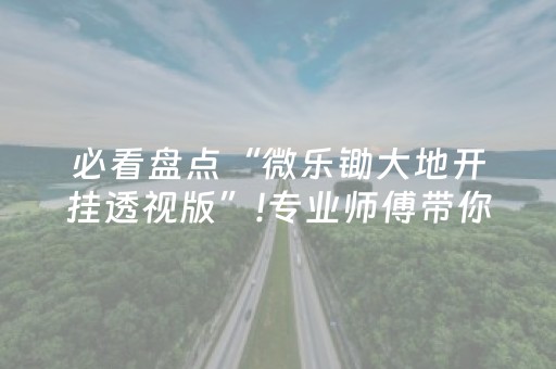 必看盘点“微乐锄大地开挂透视版”!专业师傅带你一起了解（详细教程）-抖音