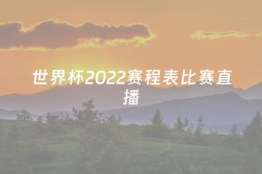 世界杯2022赛程表比赛直播（世界杯赛程2023
直播）