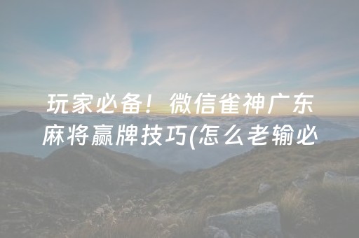 玩家必备！微信雀神广东麻将赢牌技巧(怎么老输必备神器)