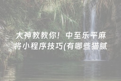 大神教教你！中至乐平麻将小程序技巧(有哪些猫腻)