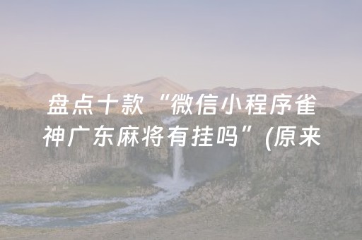 盘点十款“微信小程序雀神广东麻将有挂吗”(原来真的有挂)-抖音