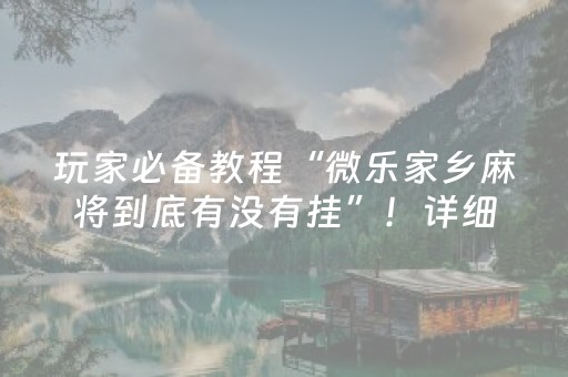 玩家必备教程“微乐家乡麻将到底有没有挂”！详细开挂教程（确实真的有挂)-抖音