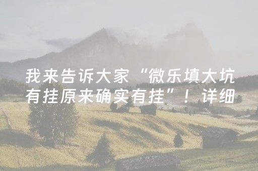 我来告诉大家“微乐填大坑有挂原来确实有挂”！详细开挂教程（确实真的有挂)-抖音