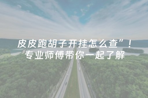 皮皮跑胡子开挂怎么查”!专业师傅带你一起了解（详细教程）-抖音