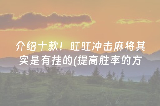 介绍十款！旺旺冲击麻将其实是有挂的(提高胜率的方法)