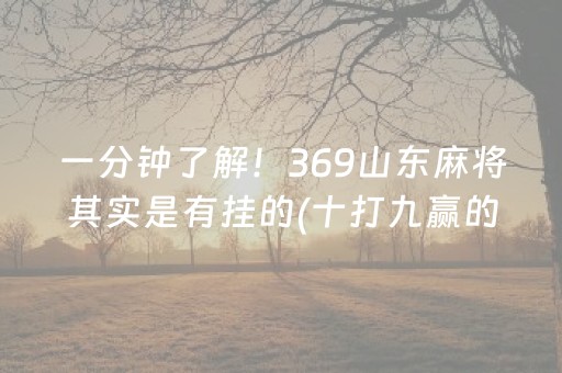 一分钟了解！369山东麻将其实是有挂的(十打九赢的打法)