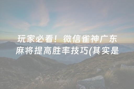 玩家必看！微信雀神广东麻将提高胜率技巧(其实是有挂确实有挂)