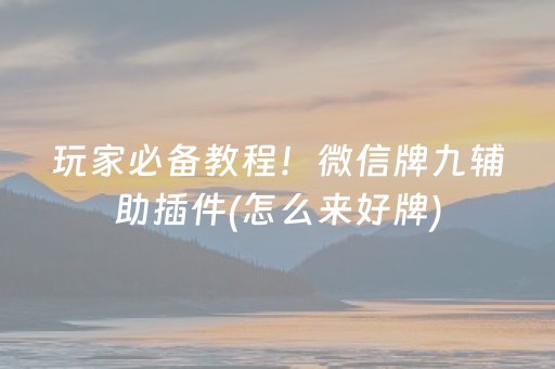 玩家必备教程！微信牌九辅助插件(怎么来好牌)