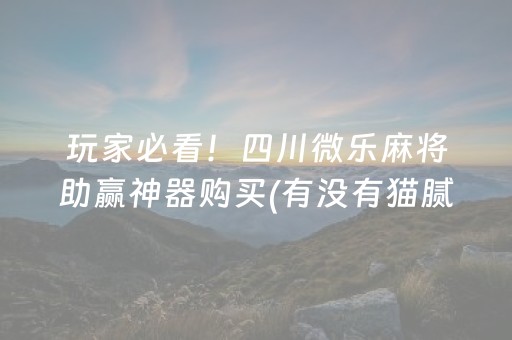 玩家必看！四川微乐麻将助赢神器购买(有没有猫腻)