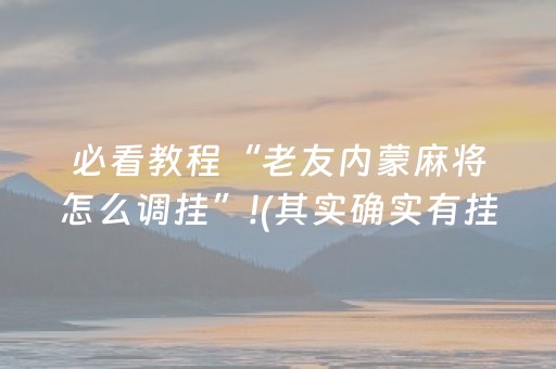 必看教程“老友内蒙麻将怎么调挂”!(其实确实有挂)-抖音