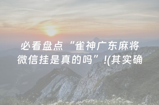 必看盘点“雀神广东麻将微信挂是真的吗”!(其实确实有挂)-抖音