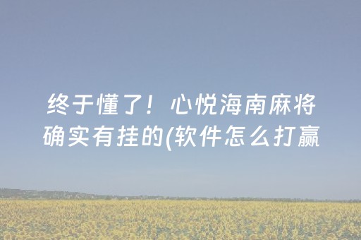 终于懂了！心悦海南麻将确实有挂的(软件怎么打赢)