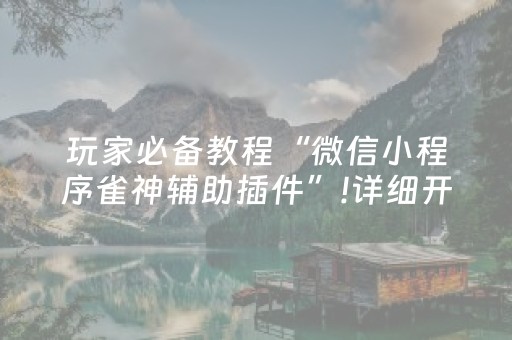 玩家必备教程“微信小程序雀神辅助插件”!详细开挂教程-抖音