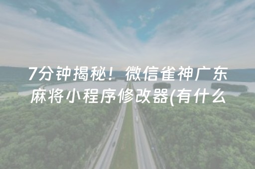 7分钟揭秘！微信雀神广东麻将小程序修改器(有什么规律)