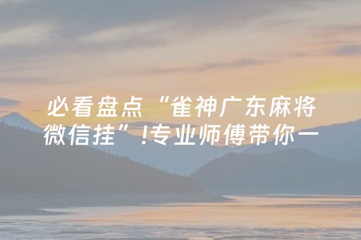 必看盘点“雀神广东麻将微信挂”!专业师傅带你一起了解（详细教程）-抖音