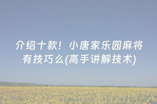 介绍十款！小唐家乐园麻将有技巧么(高手讲解技术)