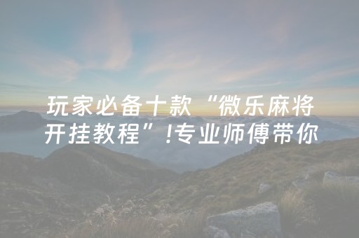 玩家必备十款“微乐麻将开挂教程”!专业师傅带你一起了解（详细教程）-抖音