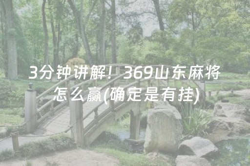 3分钟讲解！369山东麻将怎么赢(确定是有挂)