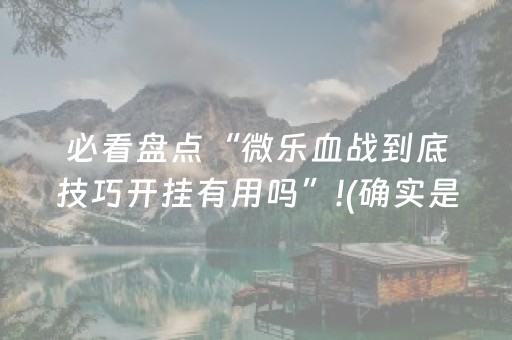 必看盘点“微乐血战到底技巧开挂有用吗”!(确实是有挂)-抖音