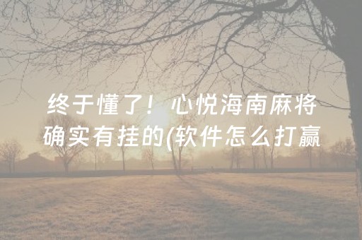 终于懂了！心悦海南麻将确实有挂的(软件怎么打赢)