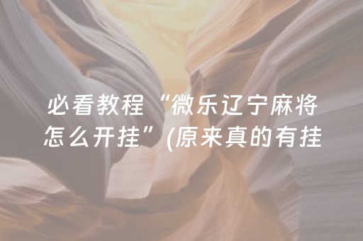 必看教程“微乐辽宁麻将怎么开挂”(原来真的有挂)-抖音