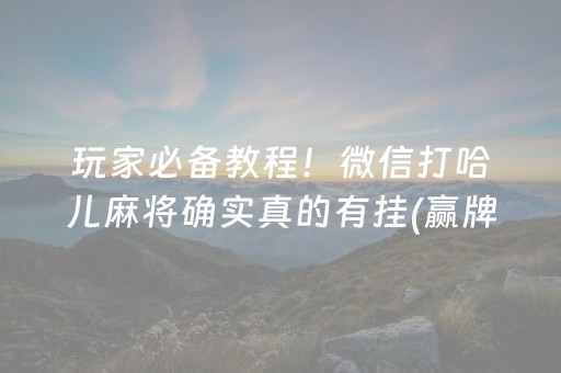 玩家必备教程！微信打哈儿麻将确实真的有挂(赢牌技巧插件安装)