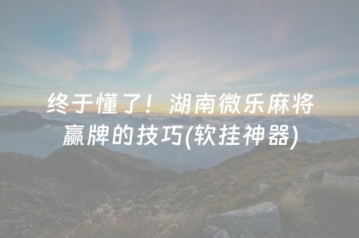 终于懂了！湖南微乐麻将赢牌的技巧(软挂神器)