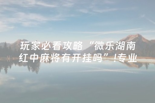 玩家必看攻略“微乐湖南红中麻将有开挂吗”!专业师傅带你一起了解（详细教程）-抖音