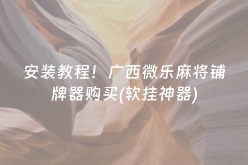 安装教程！广西微乐麻将铺牌器购买(软挂神器)