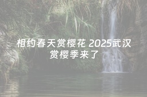 相约春天赏樱花 2025武汉赏樱季来了