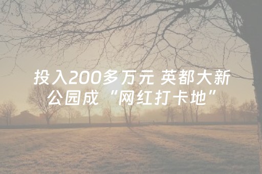 投入200多万元 英都大新公园成“网红打卡地”