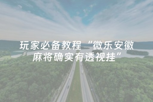 玩家必备教程“微乐安徽麻将确实有透视挂”（专用神器下载)