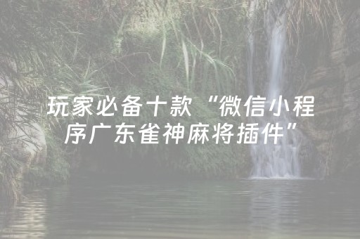 玩家必备十款“微信小程序广东雀神麻将插件”（助攻神器)