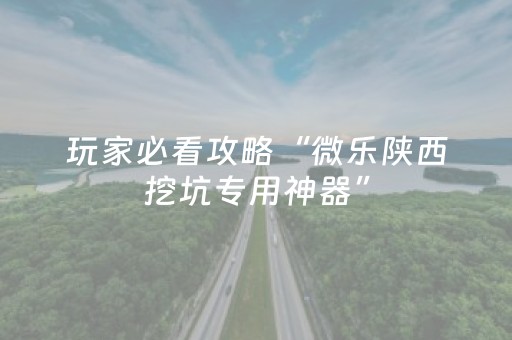 玩家必看攻略“微乐陕西挖坑专用神器”（小程序控牌器)