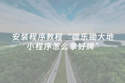 安装程序教程“微乐锄大地小程序怎么拿好牌”（小程序控牌器)