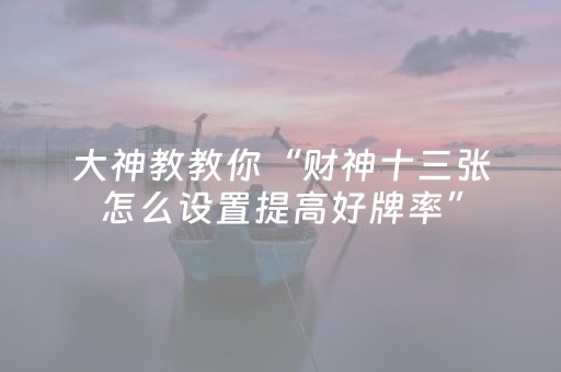 大神教教你“财神十三张怎么设置提高好牌率”（辅牌器插件购买)