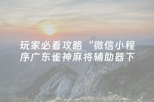 玩家必看攻略“微信小程序广东雀神麻将辅助器下载”（插件开挂免费AI)