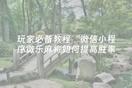 玩家必备教程“微信小程序微乐麻将如何提高胜率”（辅助挂发牌规律)