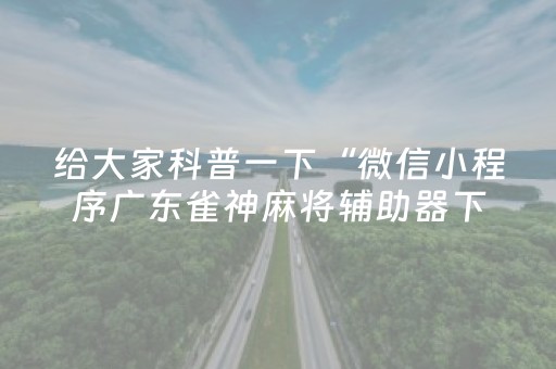 给大家科普一下“微信小程序广东雀神麻将辅助器下载”（开挂辅助脚本)