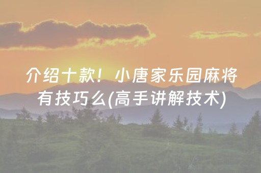 介绍十款！小唐家乐园麻将有技巧么(高手讲解技术)