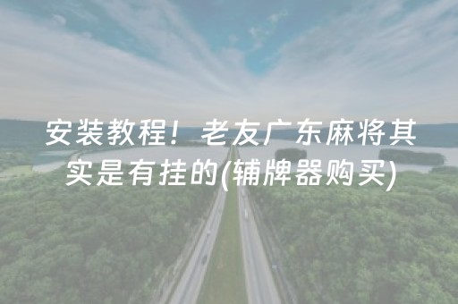 安装教程！老友广东麻将其实是有挂的(辅牌器购买)