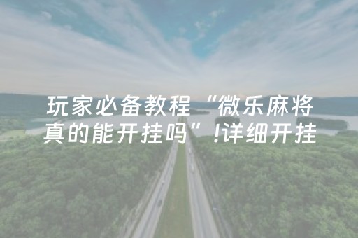 玩家必备教程“微乐麻将真的能开挂吗”!详细开挂教程-抖音