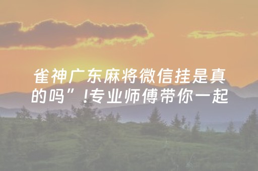 雀神广东麻将微信挂是真的吗”!专业师傅带你一起了解（详细教程）-抖音