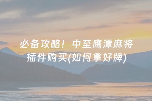 必备攻略！中至鹰潭麻将插件购买(如何拿好牌)