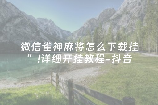 微信雀神麻将怎么下载挂”!详细开挂教程-抖音