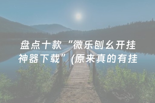 盘点十款“微乐刨幺开挂神器下载”(原来真的有挂)-抖音