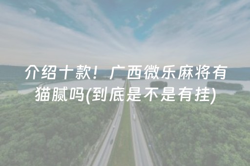 介绍十款！广西微乐麻将有猫腻吗(到底是不是有挂)