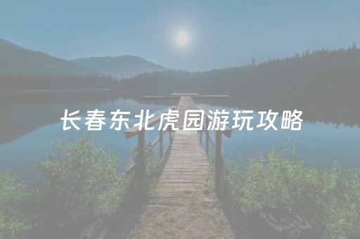 长春东北虎园游玩攻略（东北虎园游玩攻略）