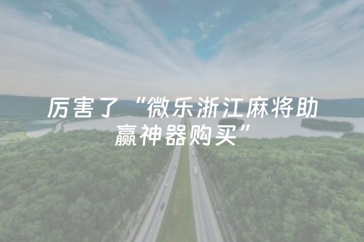 厉害了“微乐浙江麻将助赢神器购买”（通用挂软件多少钱)